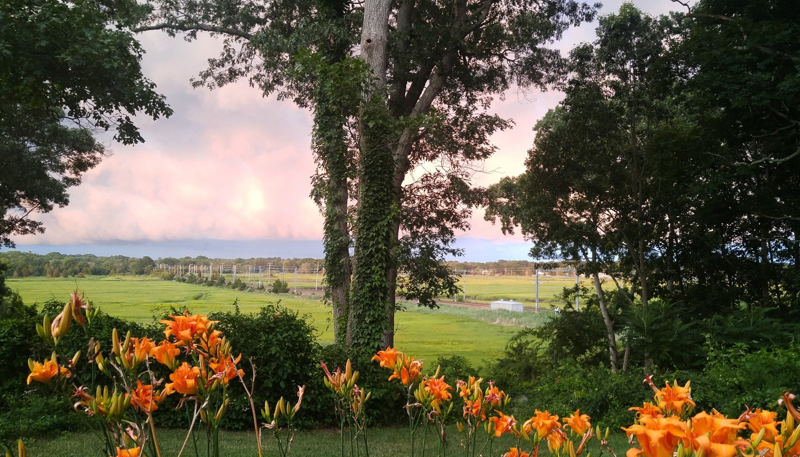 Image 32