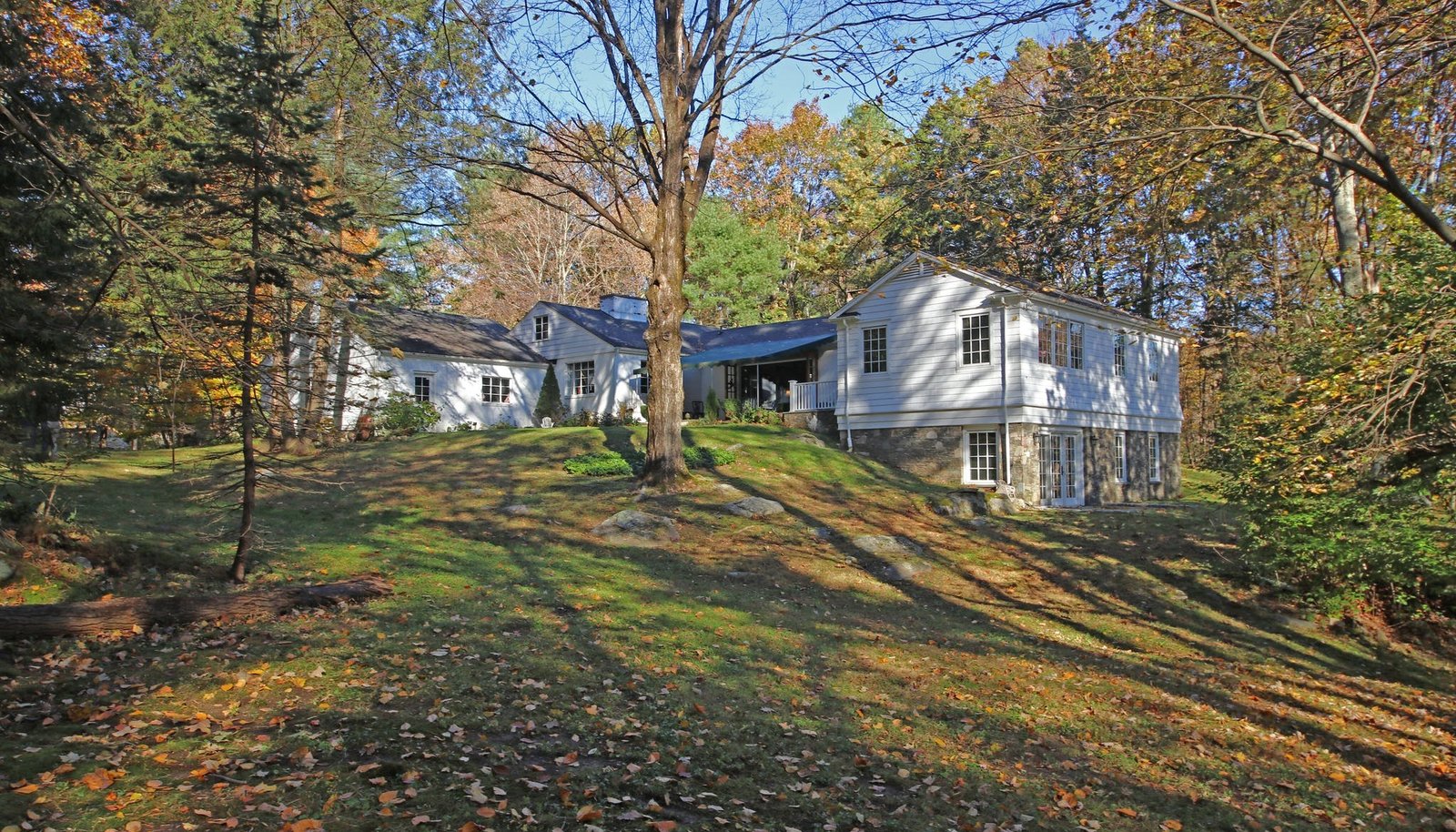 Image 4