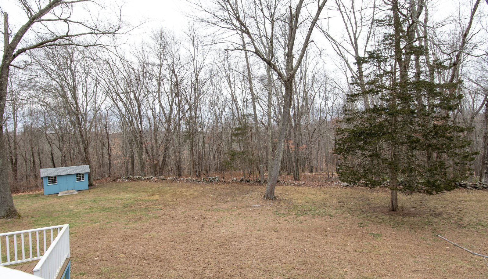 Image 35