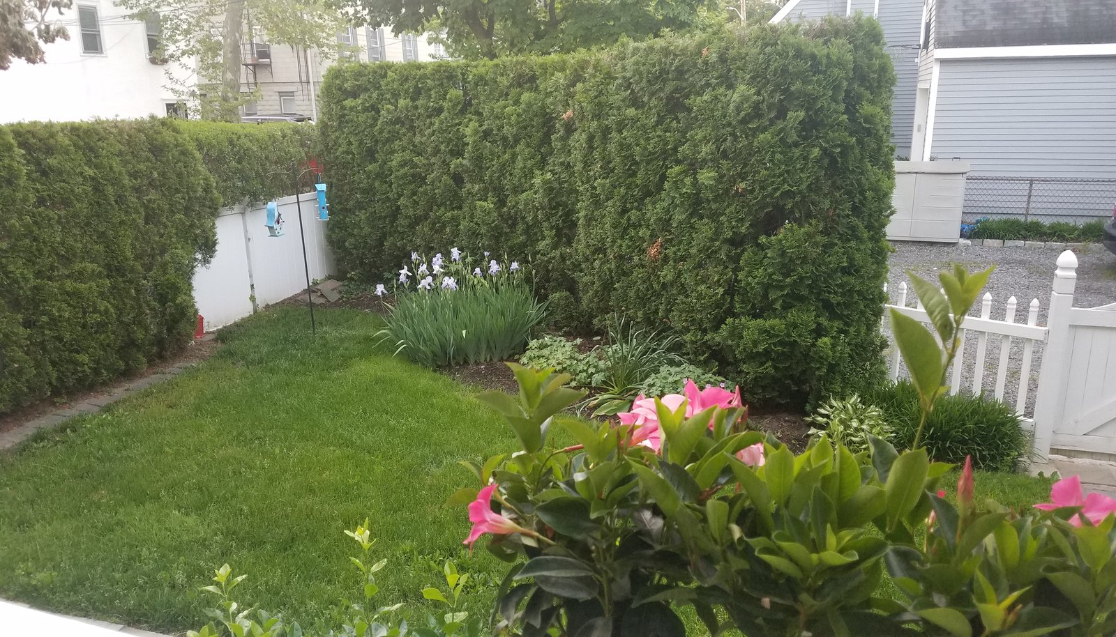 Image 12