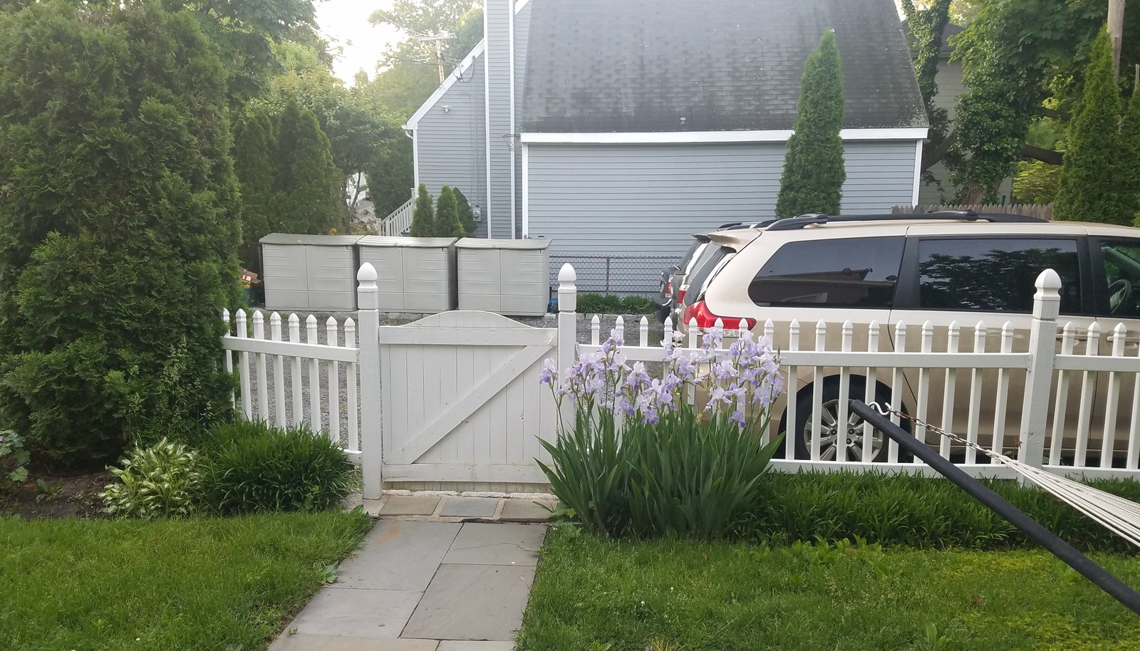 Image 13
