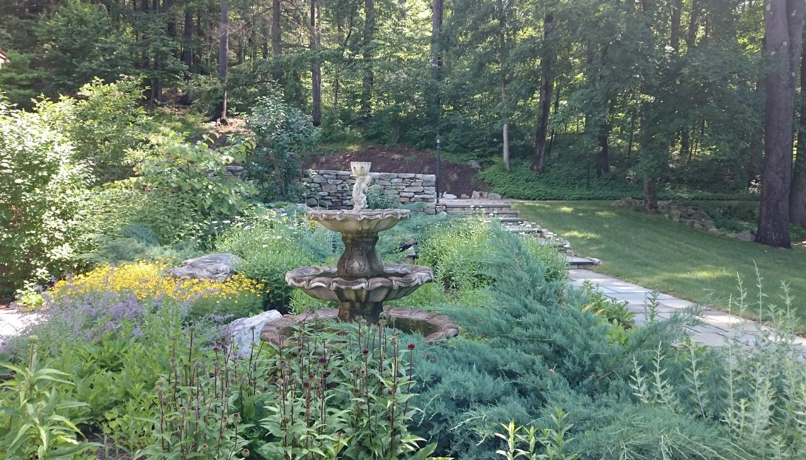 Image 34