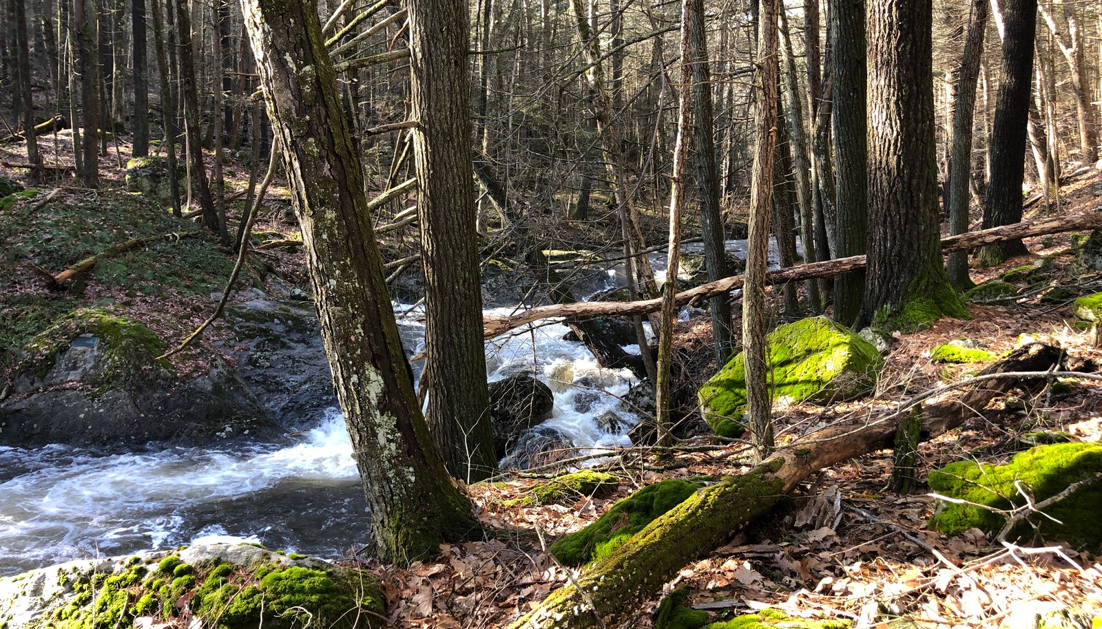 Image 37