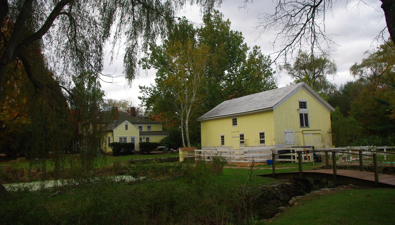 Image 29
