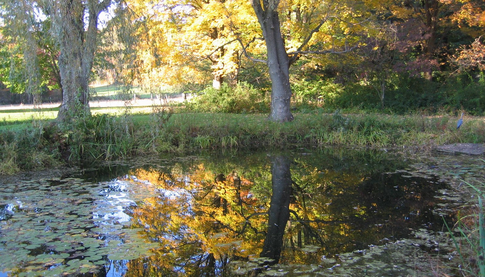 Image 32