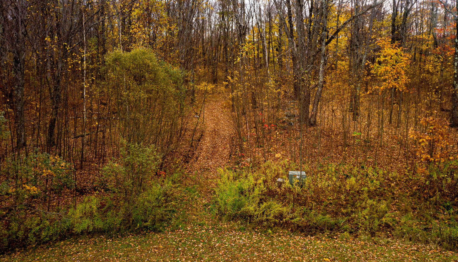 Image 17