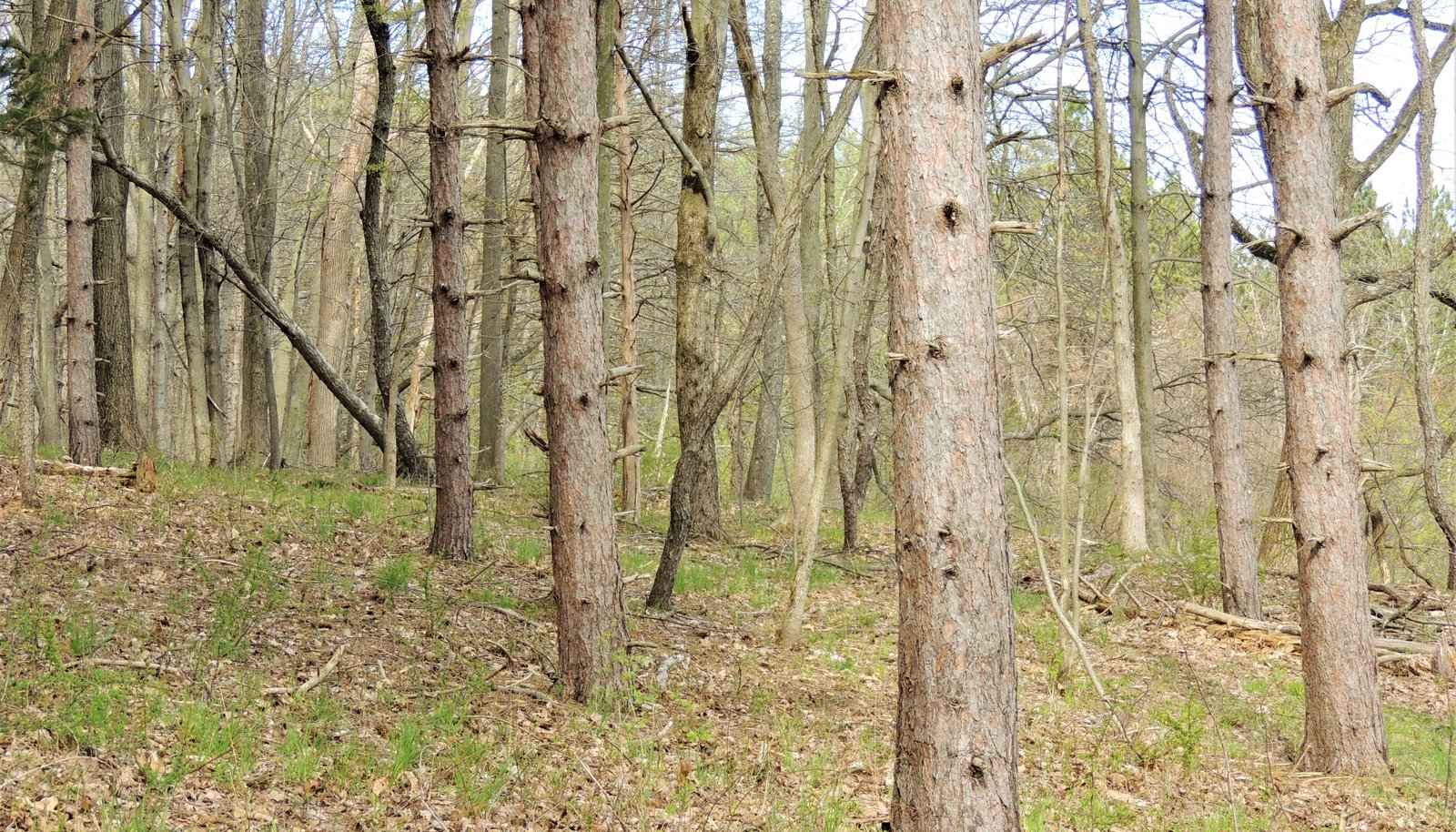 Image 6