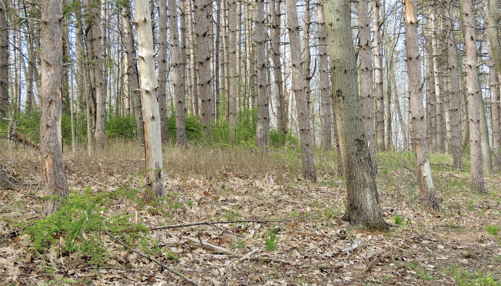 Image 8