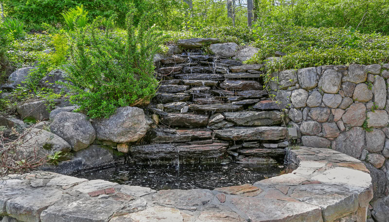 Image 42
