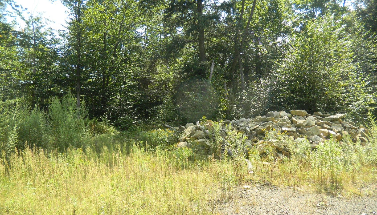Image 9