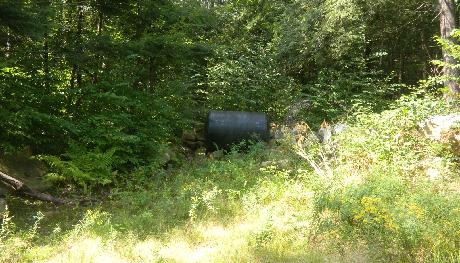 Image 10