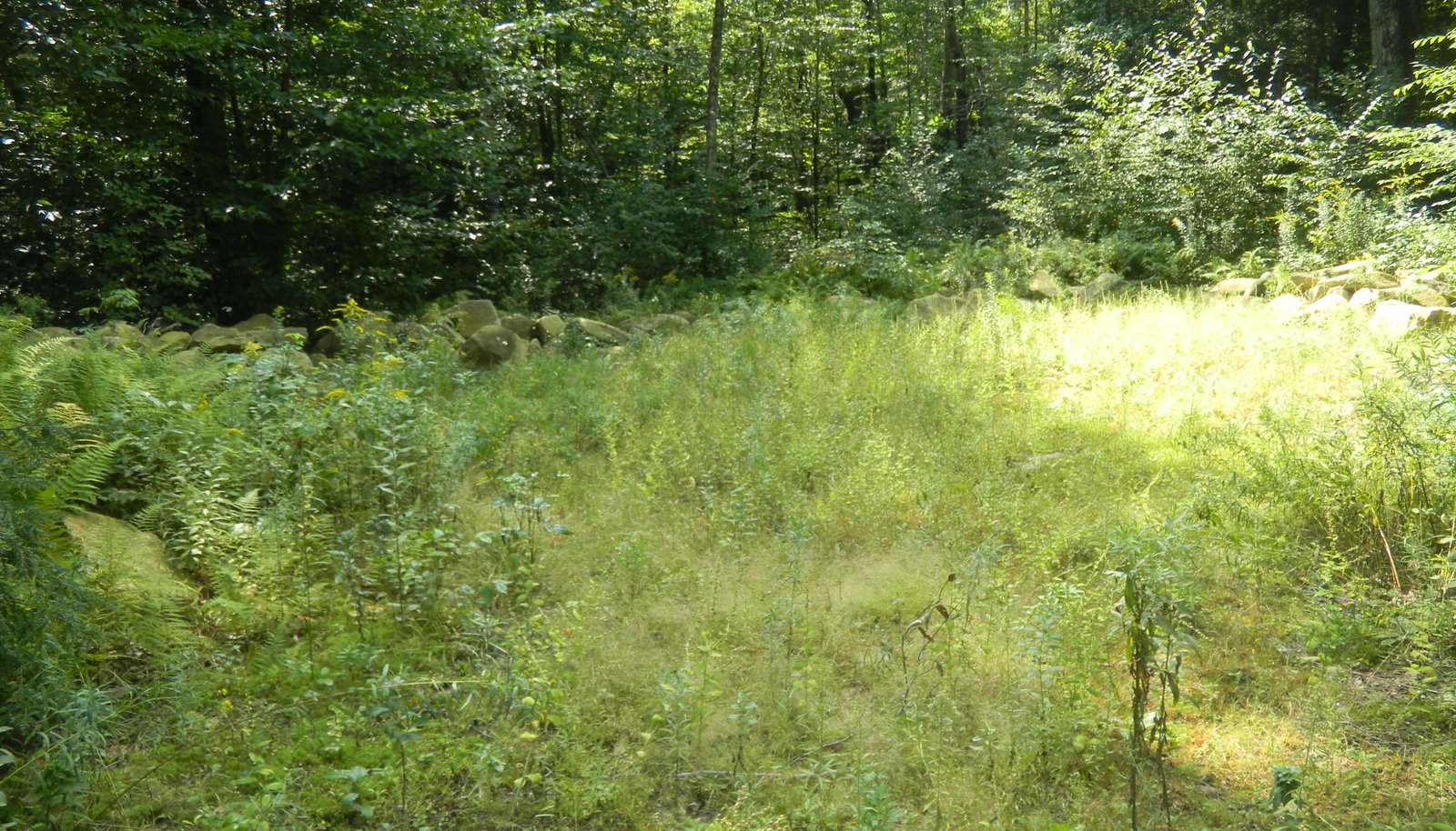 Image 11