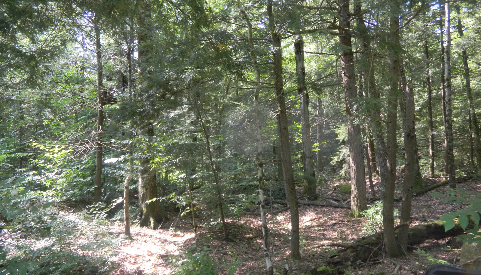 Image 13
