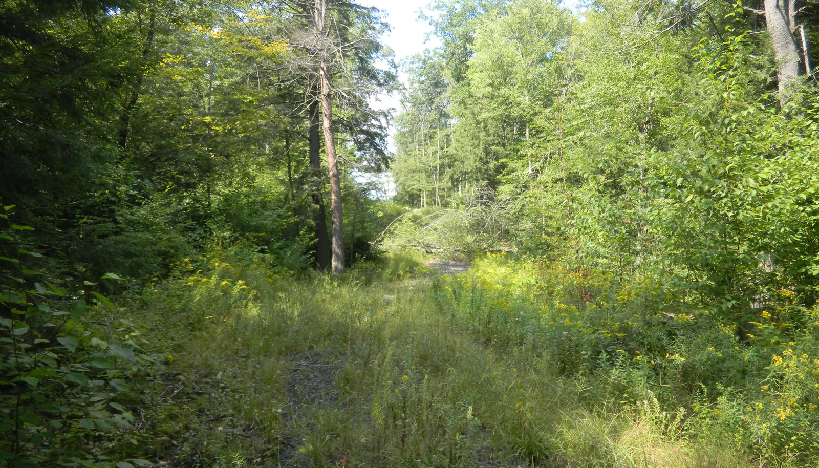 Image 14