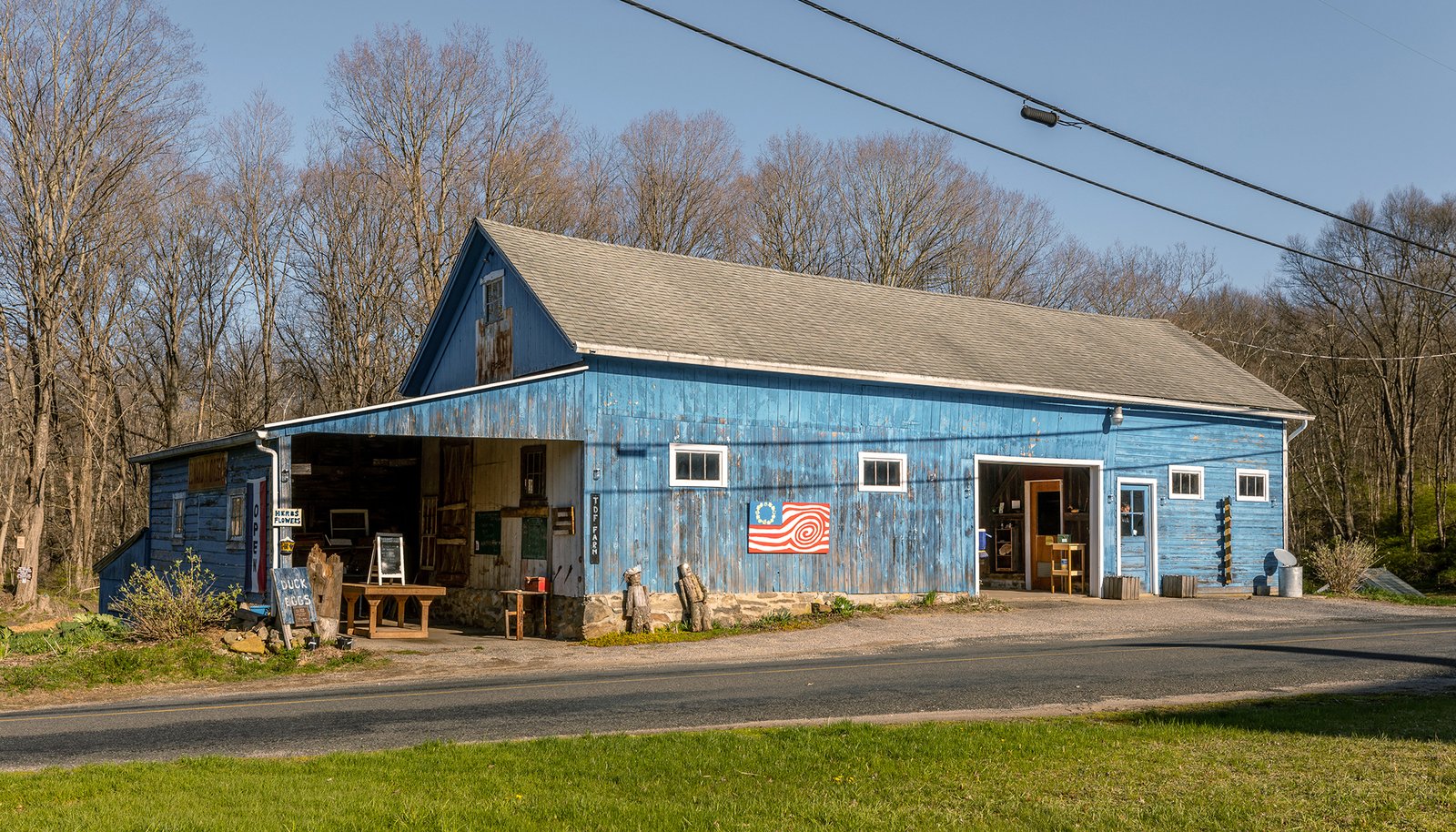 Image 6