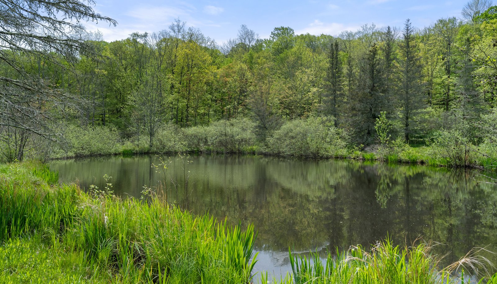Image 31