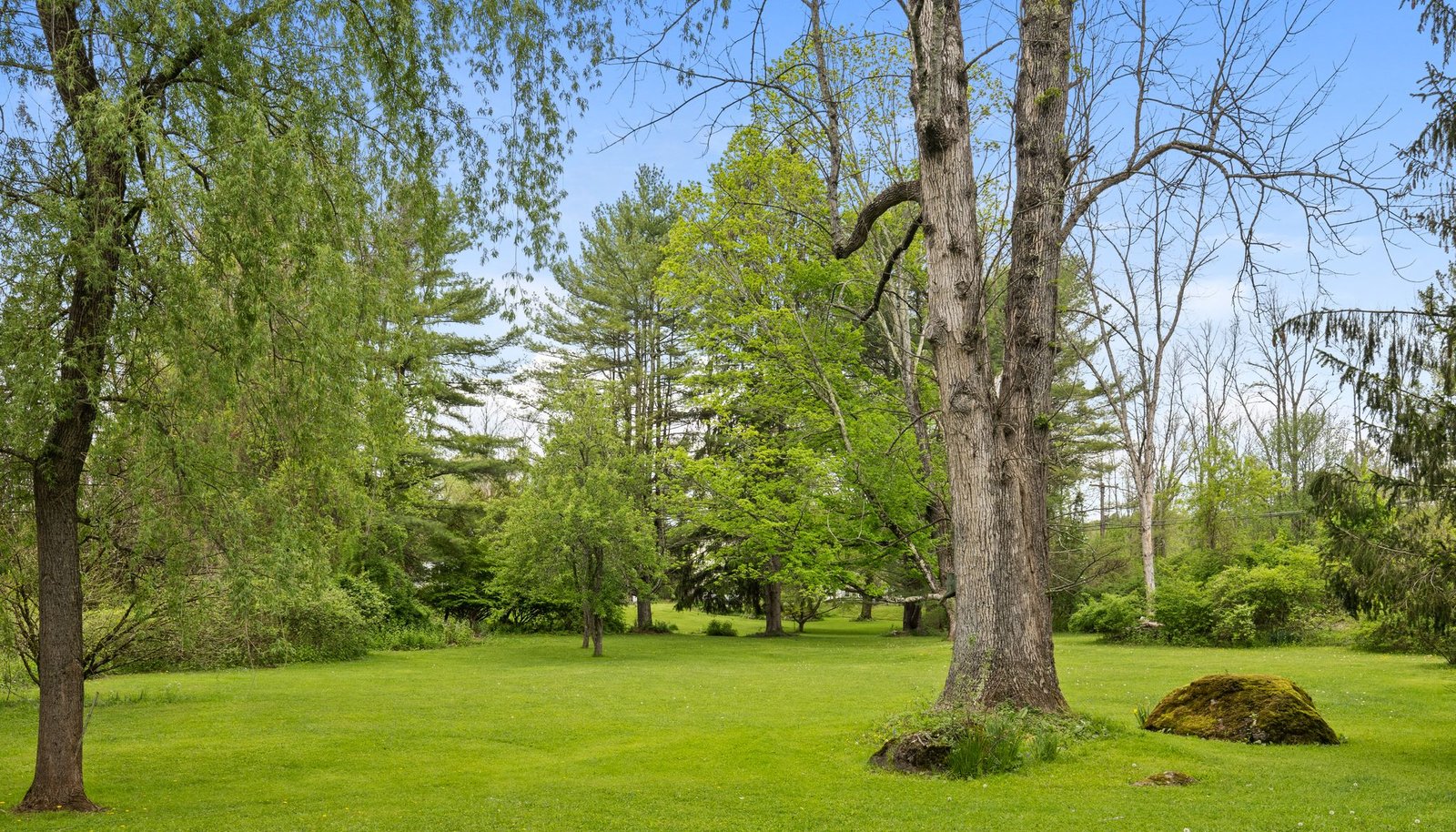 Image 25