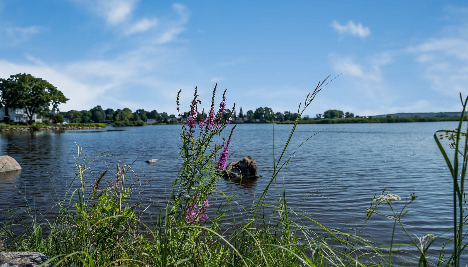Image 27
