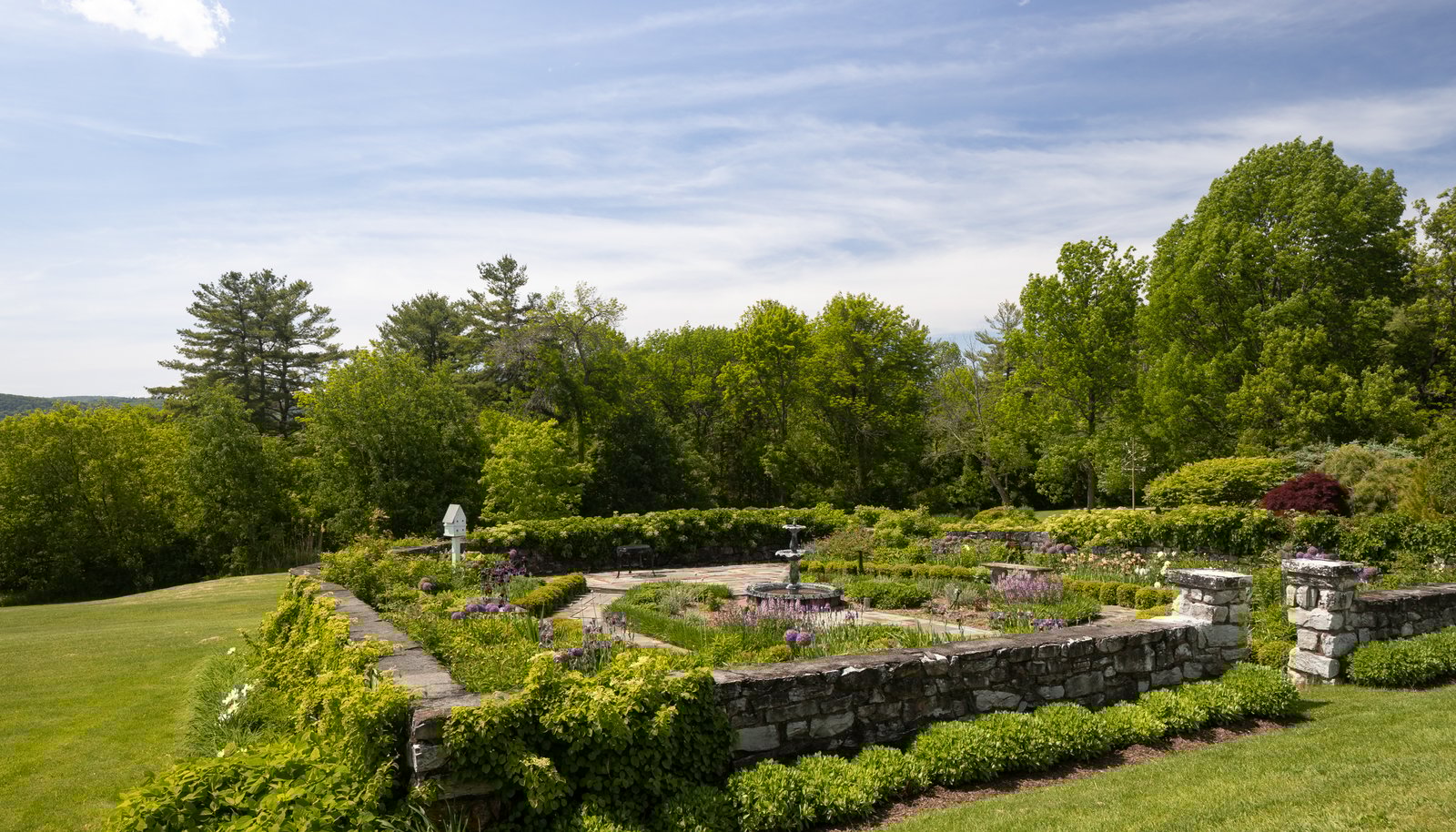 Image 37