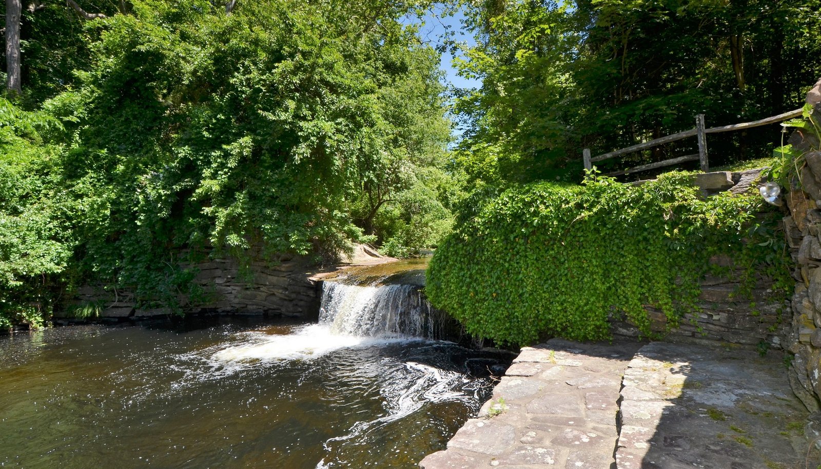 Image 15