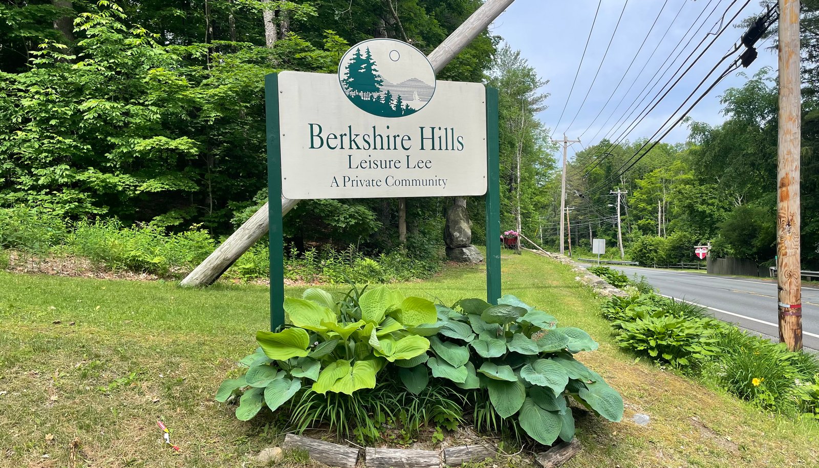 Image 15