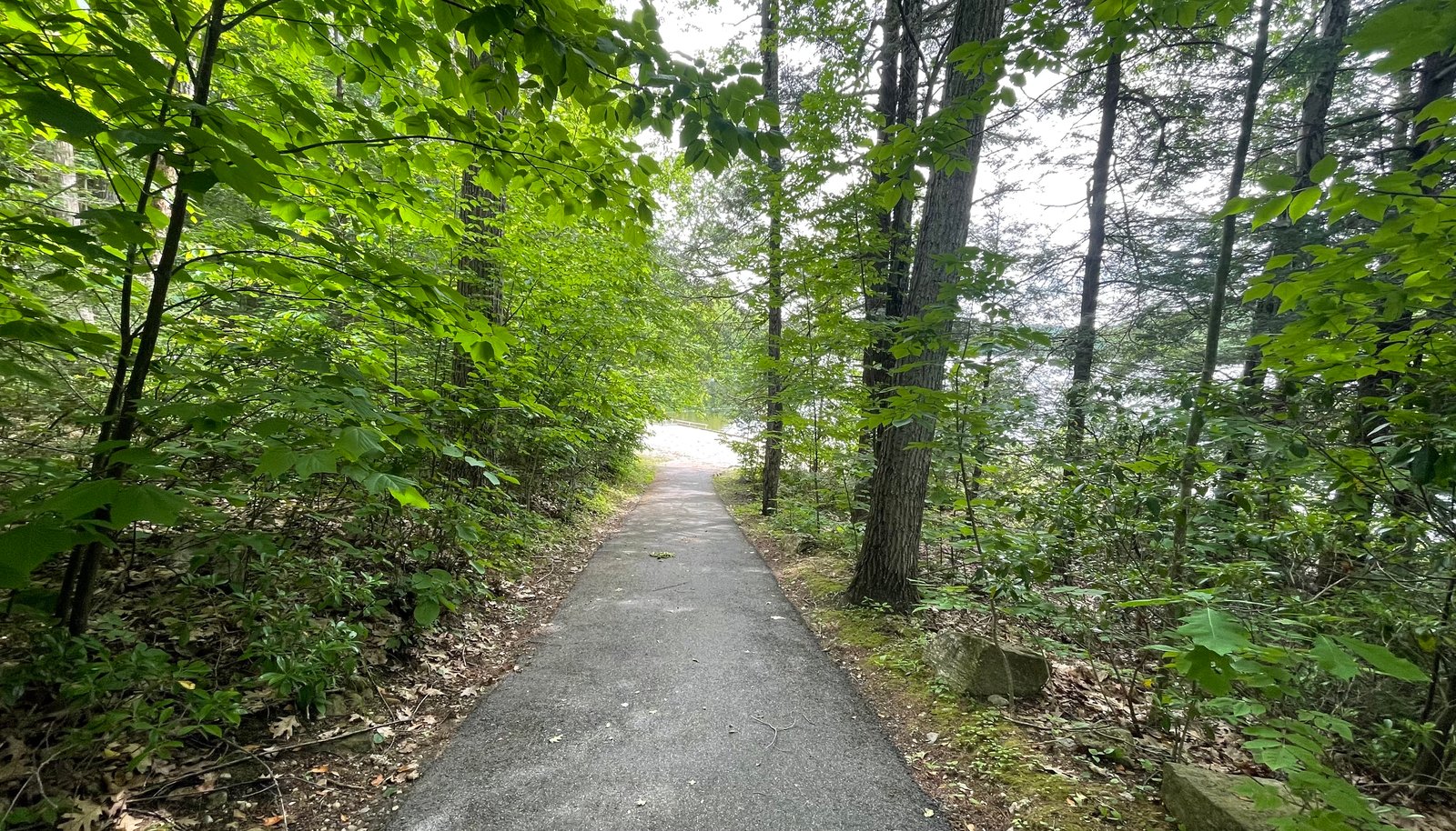 Image 17