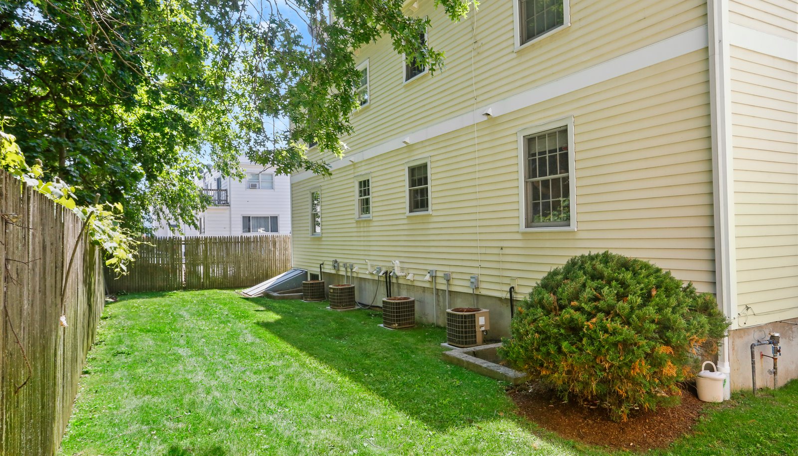 Image 19
