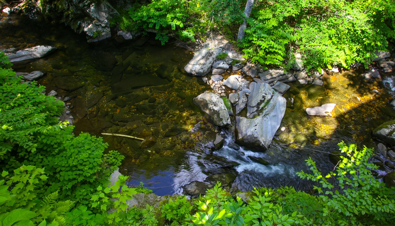 Image 18