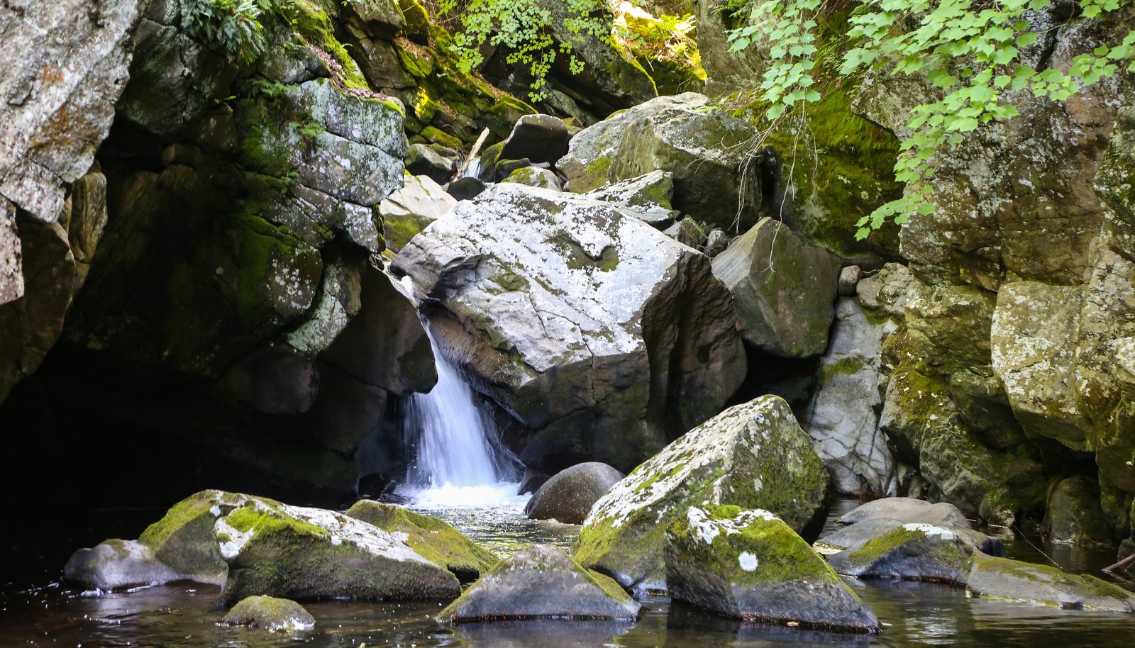Image 32