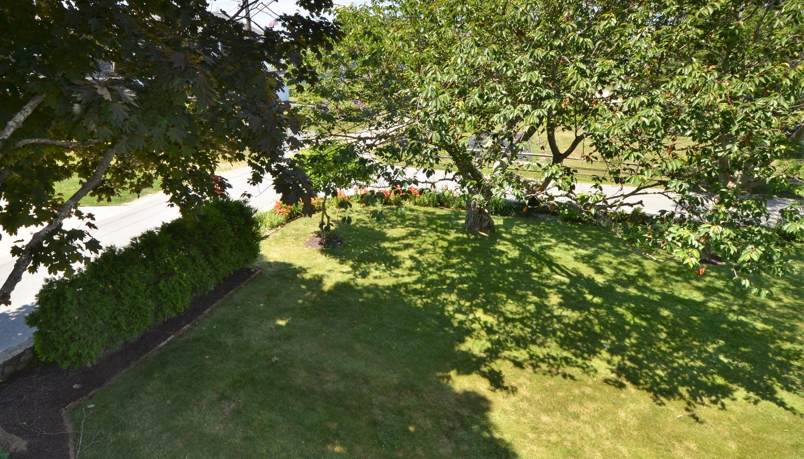 Image 19