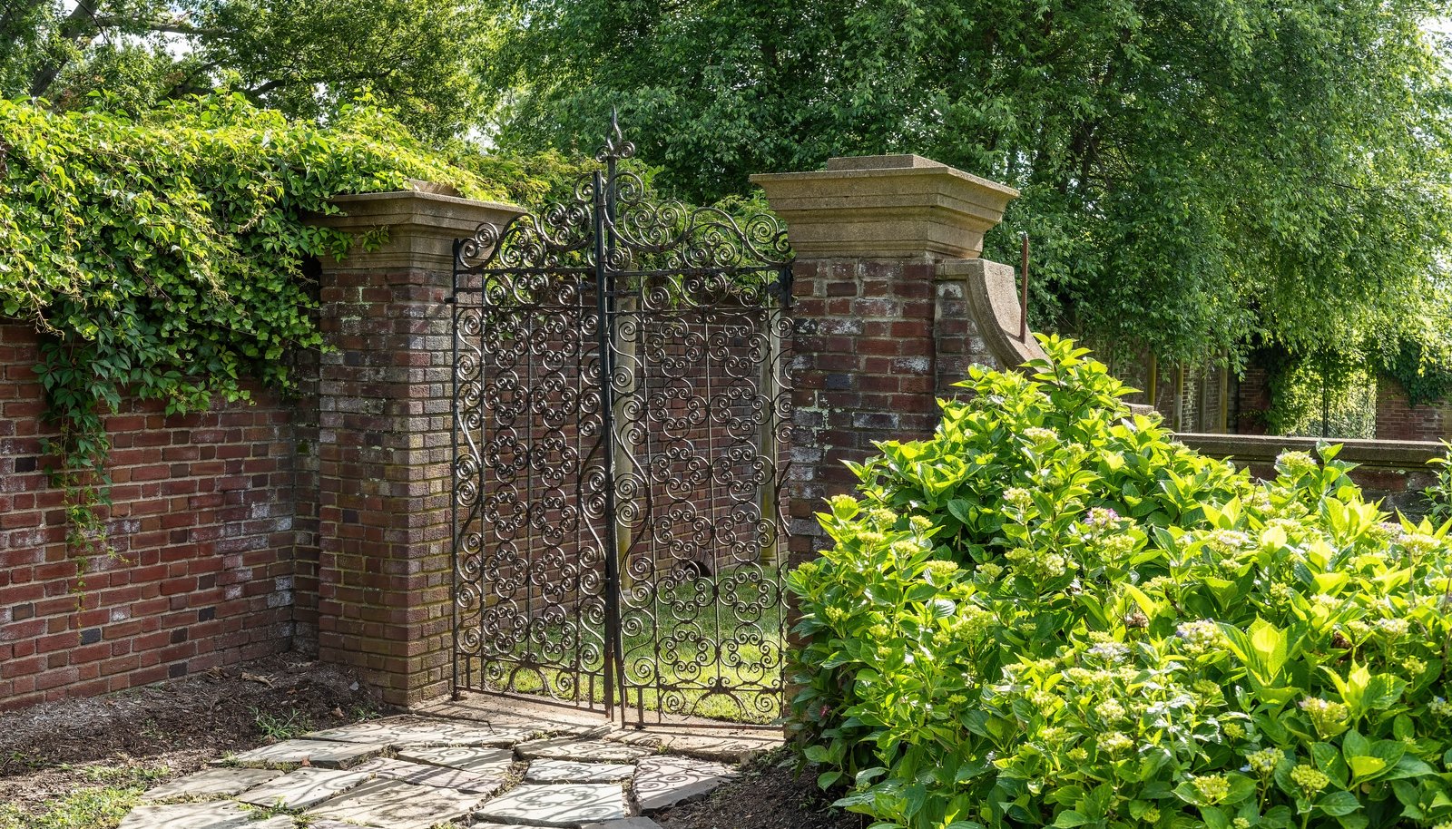 Image 26