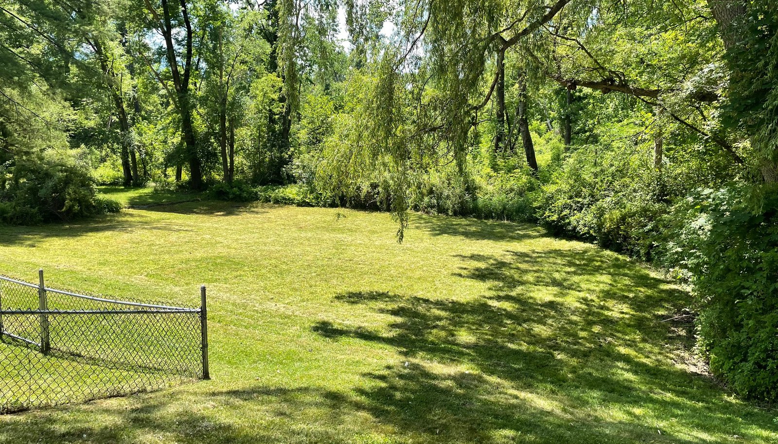 Image 23