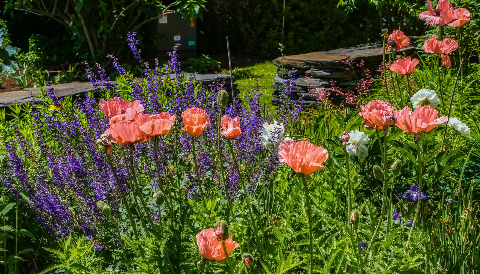Image 32