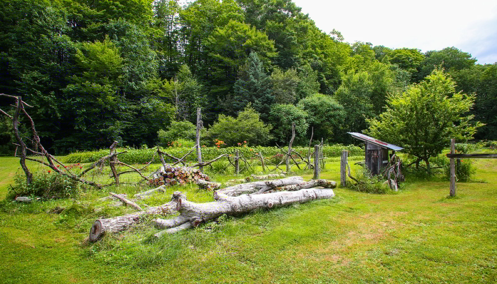 Image 26