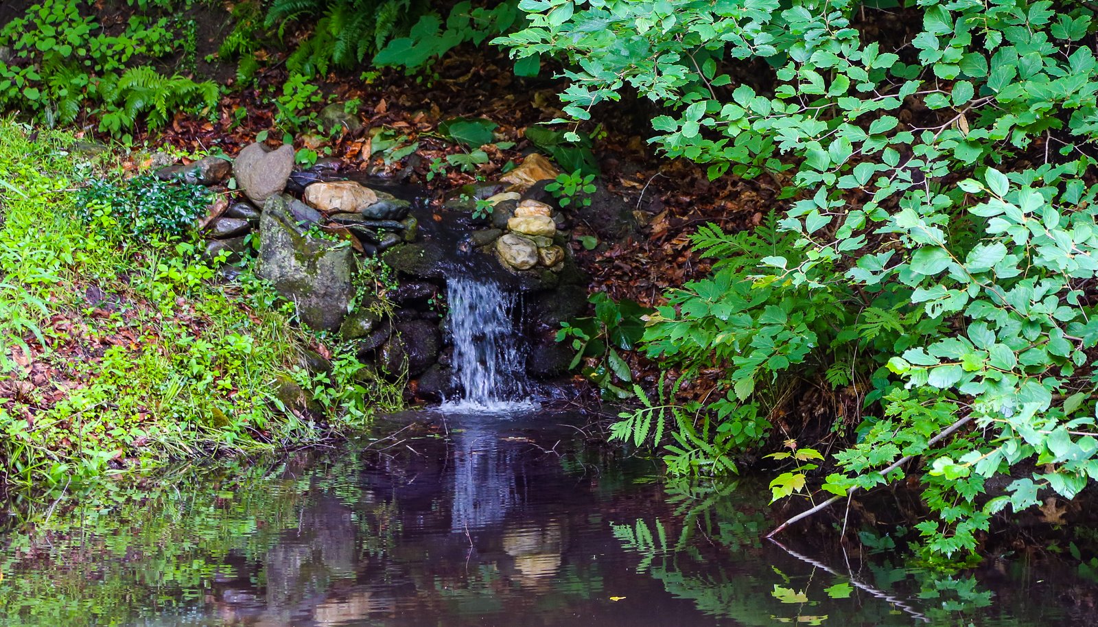 Image 27