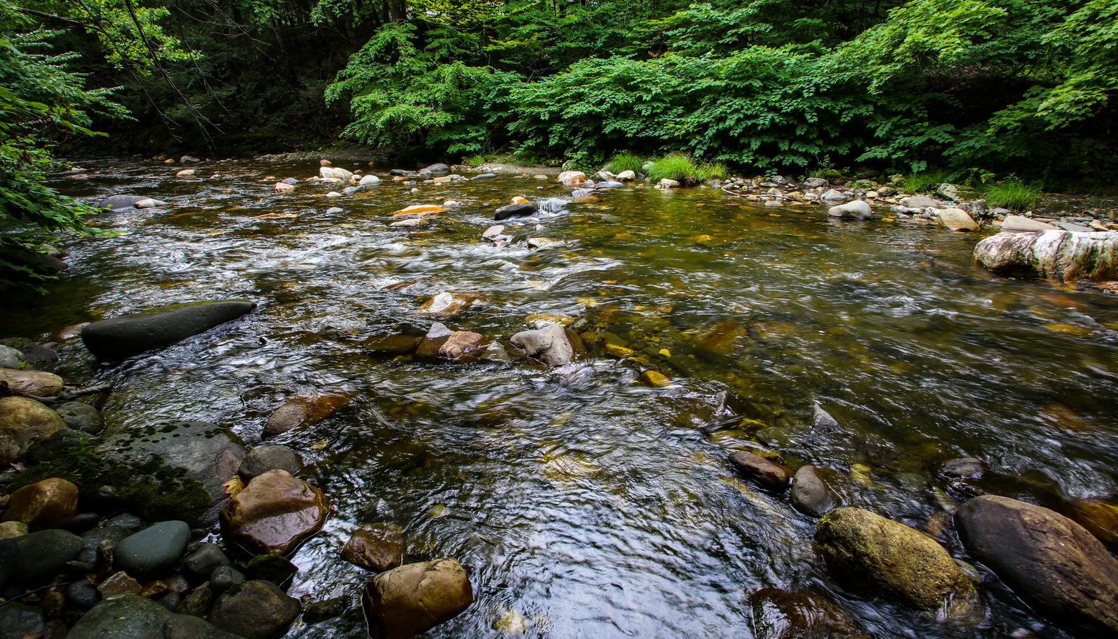 Image 32