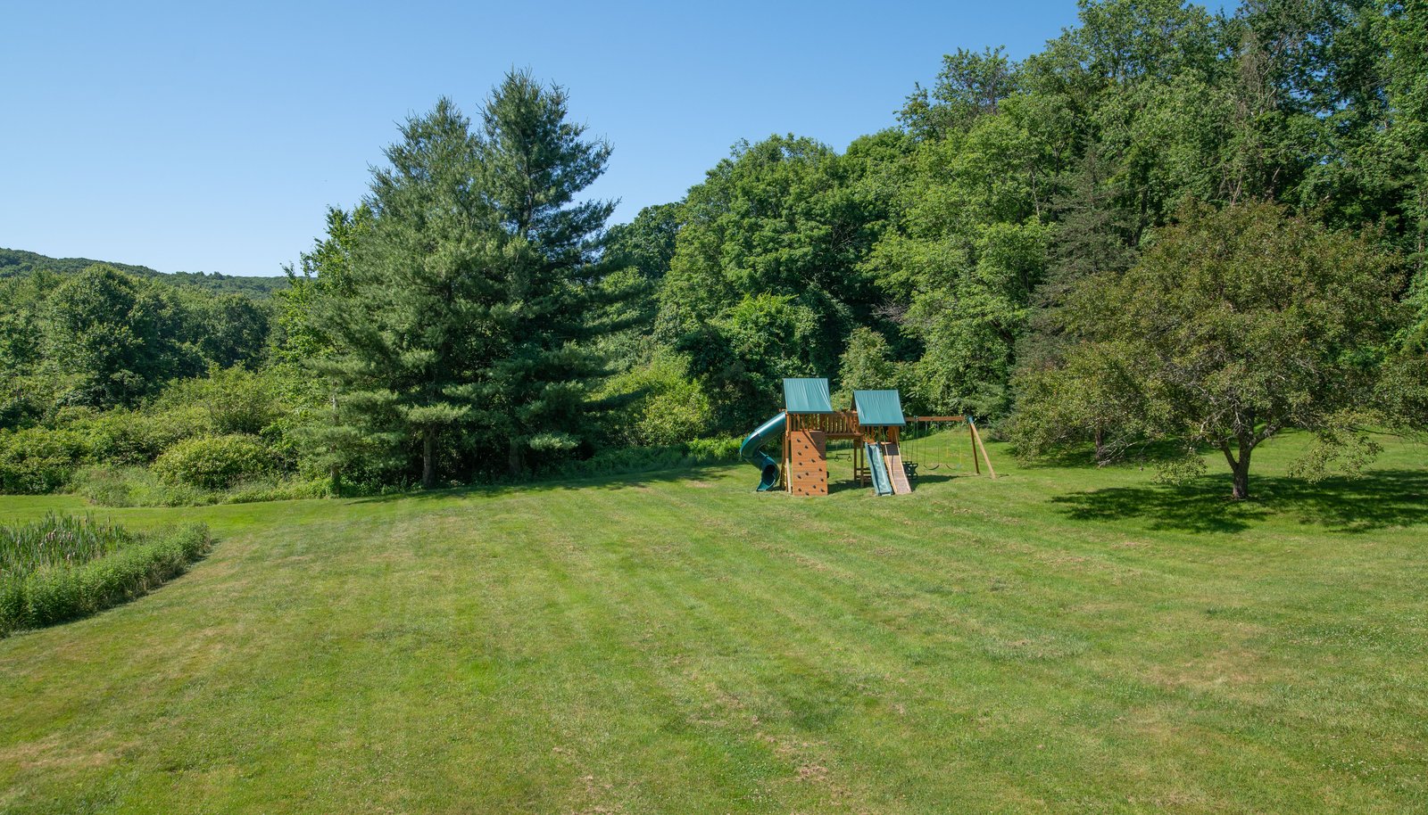 Image 35