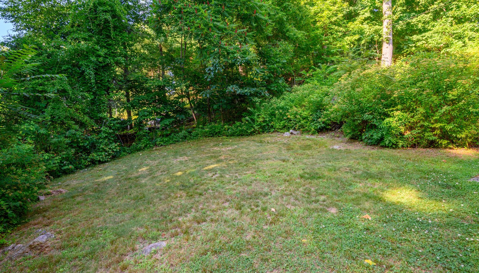 Image 33