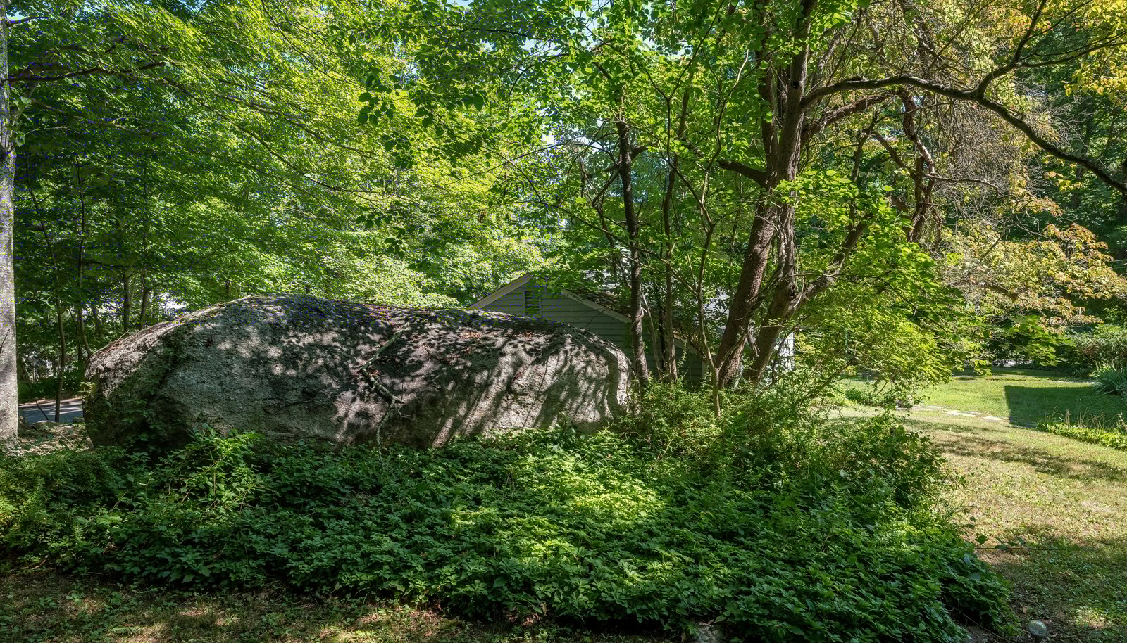 Image 11