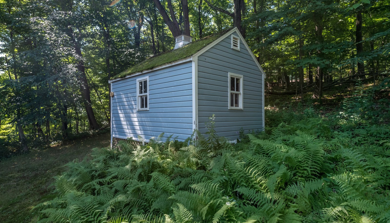 Image 12