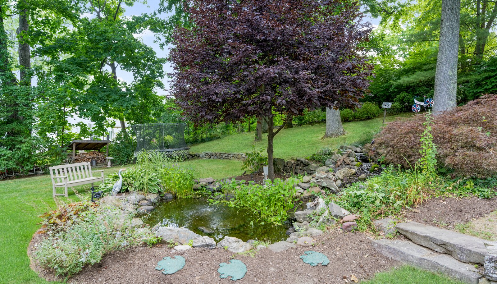 Image 25