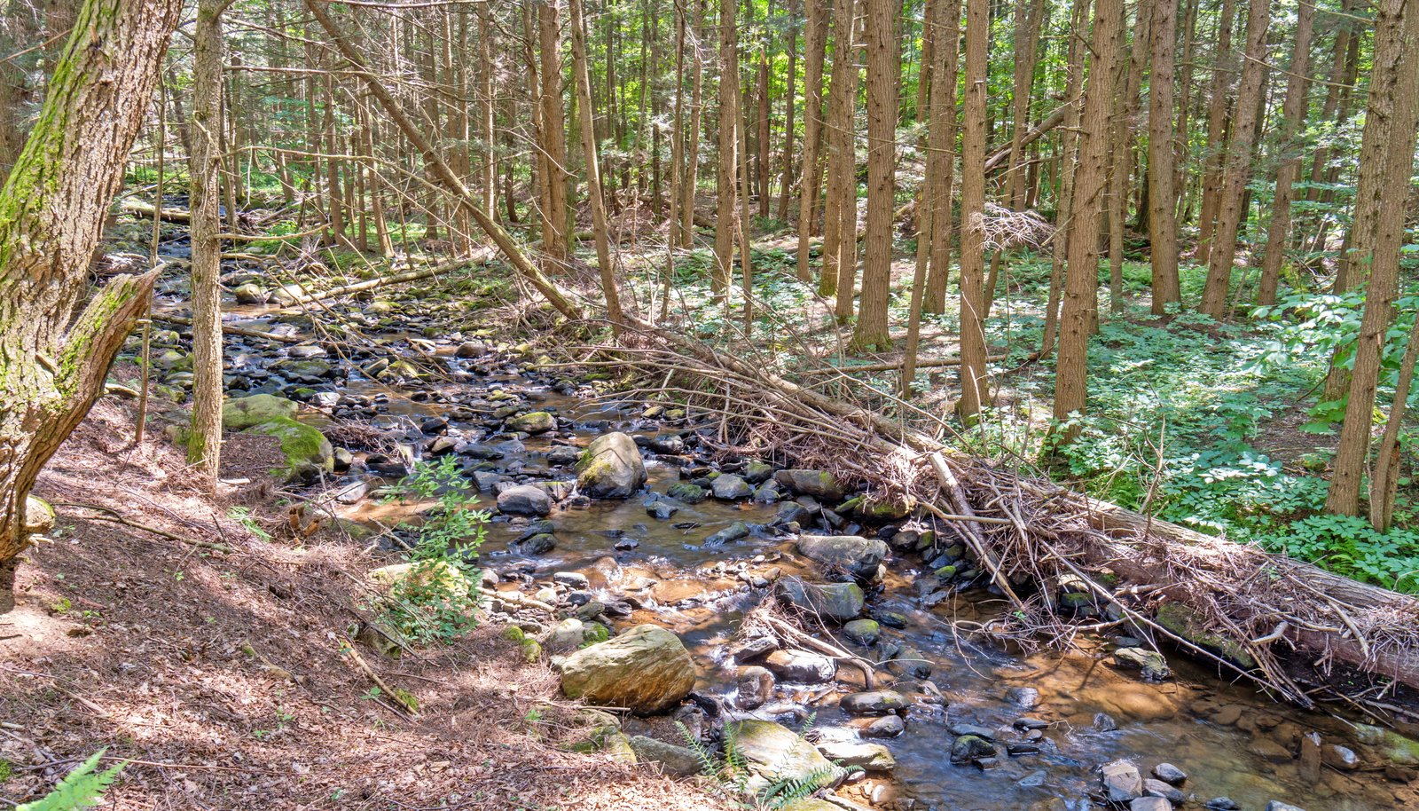 Image 11