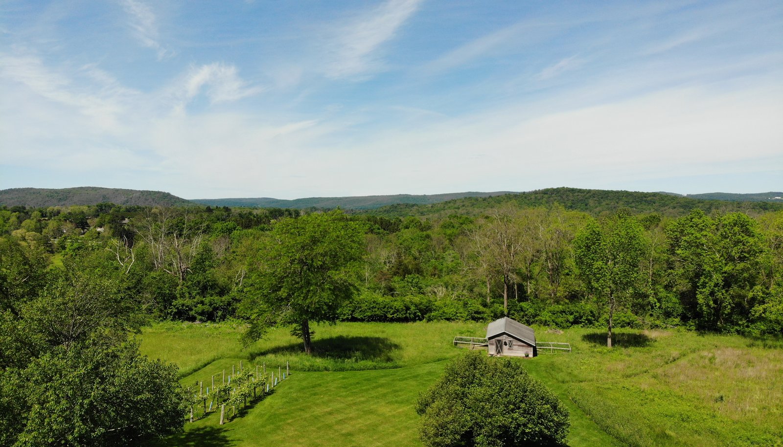 Image 14