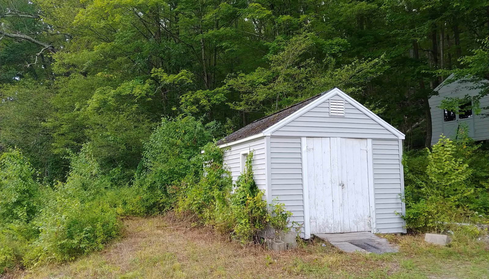 Image 26