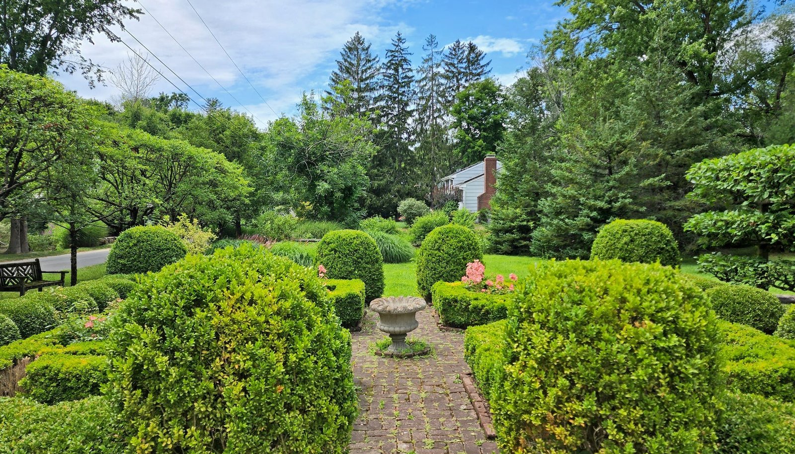 Image 38