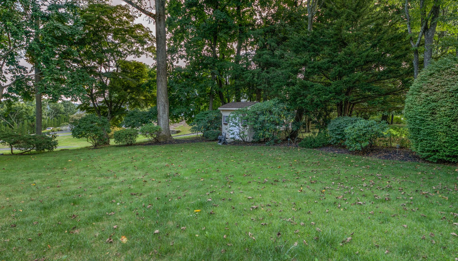 Image 28