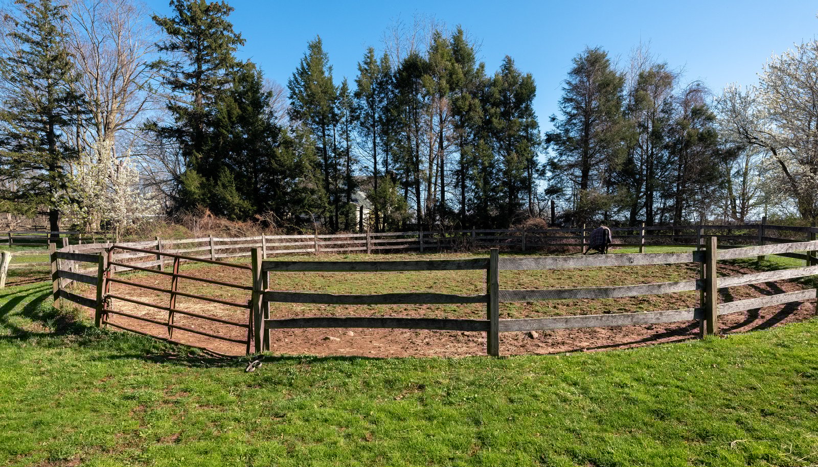 Image 15