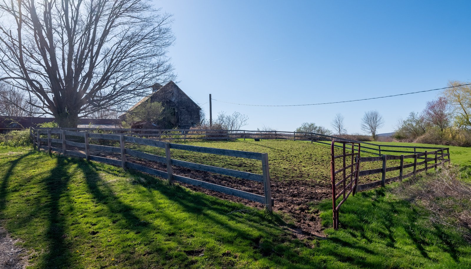 Image 14