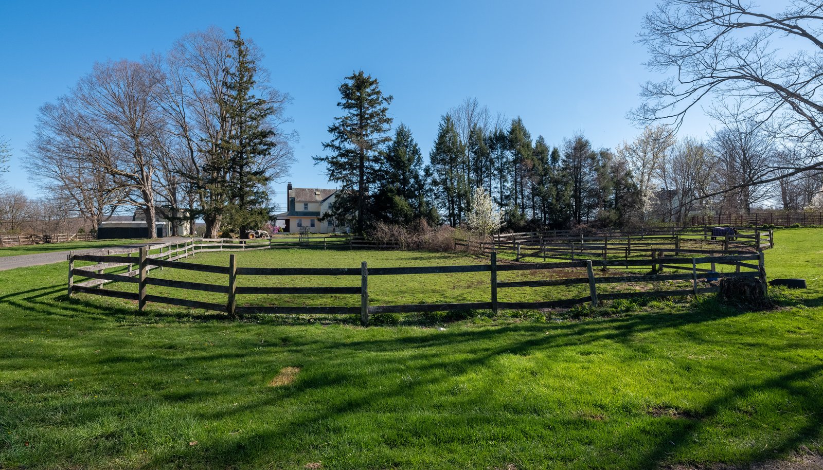 Image 19