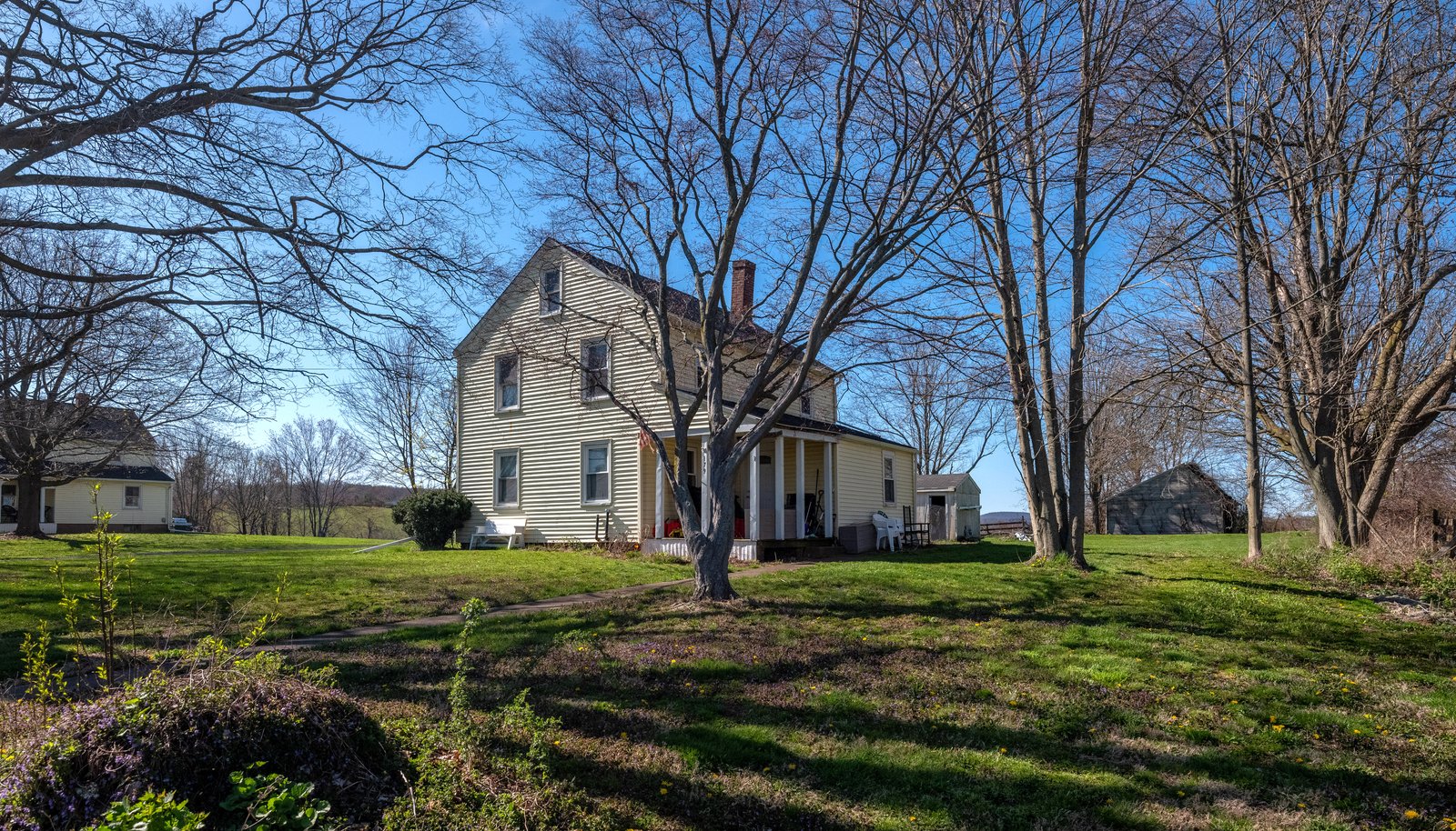 Image 11